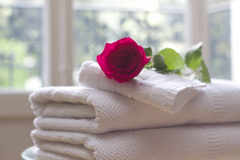 hotel-ST LAURENT DU VAR-min_towel_rose_clean_care_salon_spa_white_bath-731641